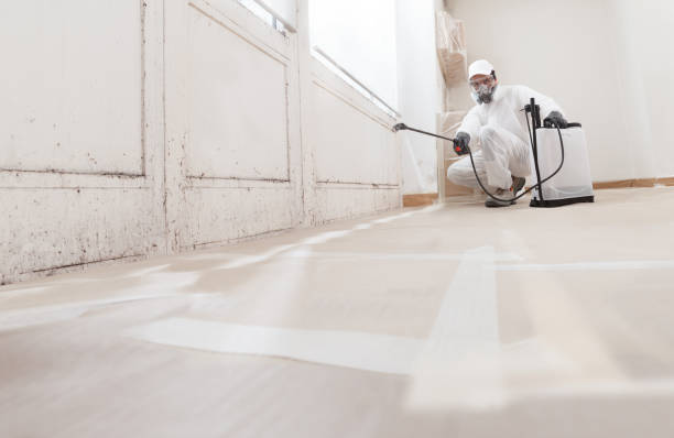 24/7 Emergency Mold Remediation experts in Salisbury, NC