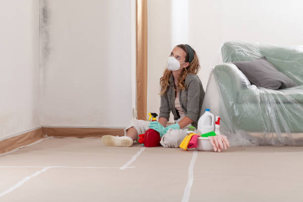 Reliable Mold Remediation contractor in Salisbury, NC by Cheap Mold Removal